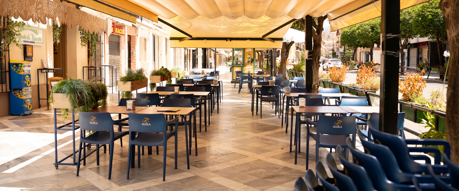 Restaurante-Alma-de-Triana-2